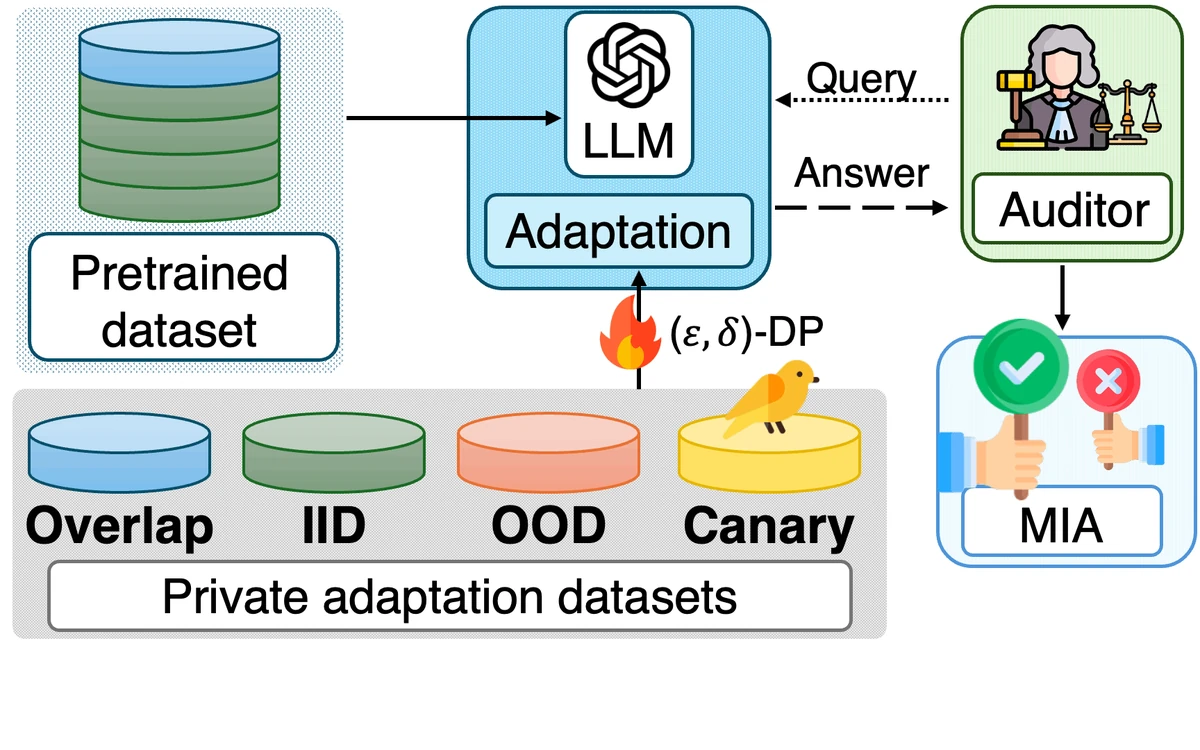 Overview of privacy auditing for LLM adaptations using private datasets and membership inference attacks.